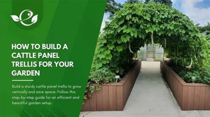 How much is a trellis