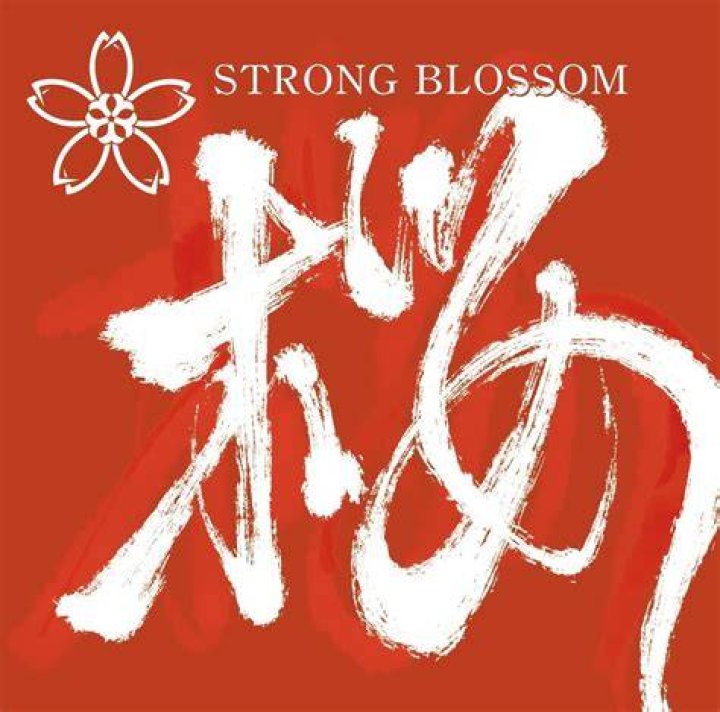 How strong is Blossom