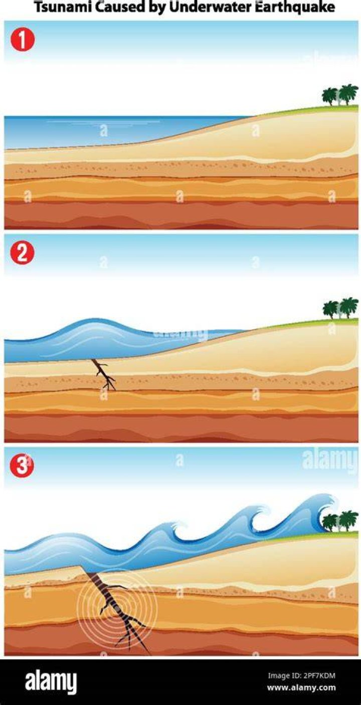 How tsunami is caused