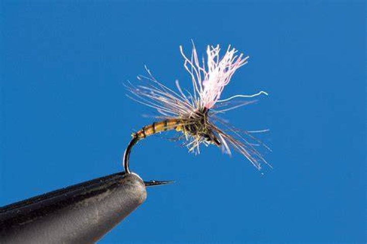 Is a midge a dry fly