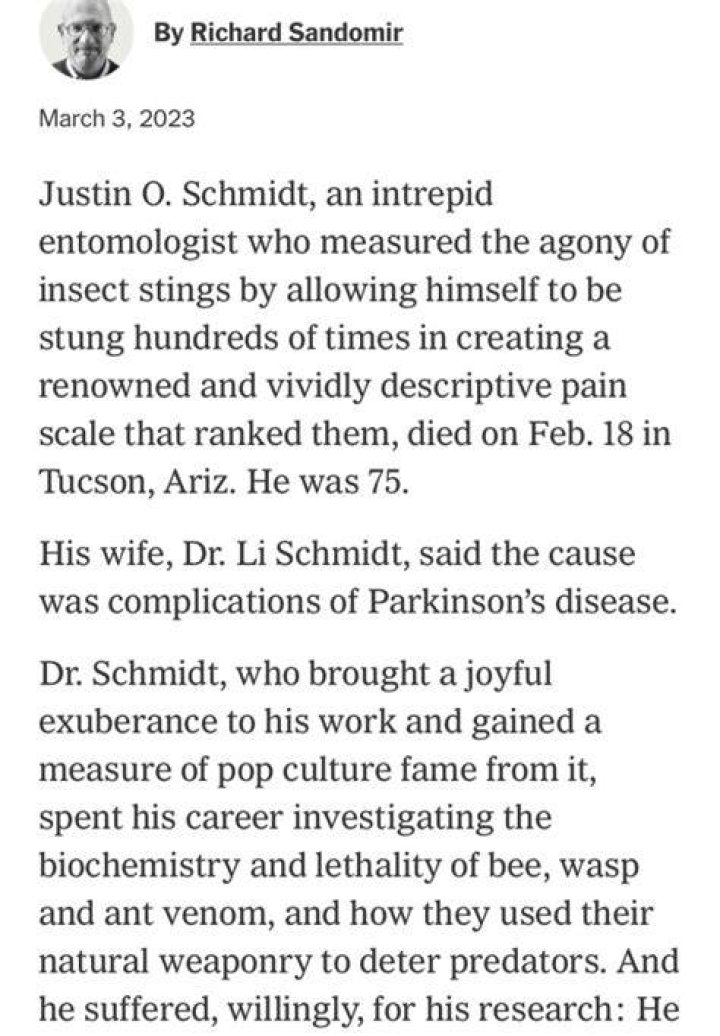 Is About Schmidt sad