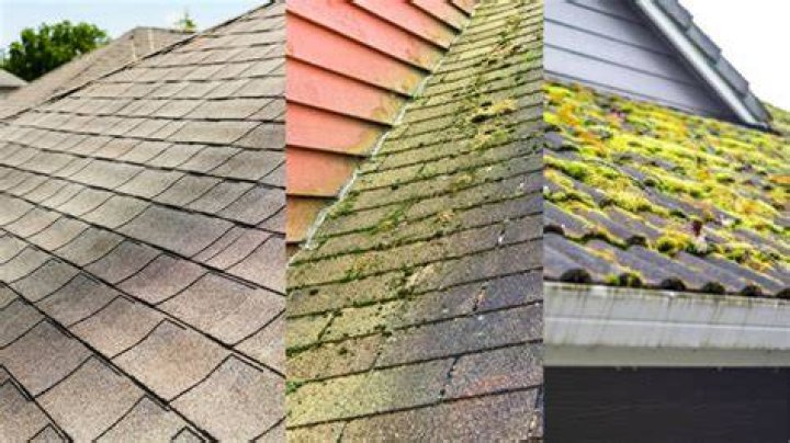 Is algae on roof bad