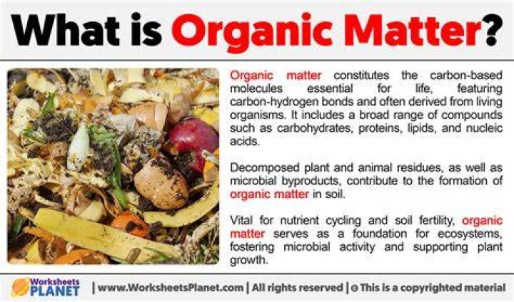 Is all matter organic