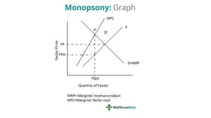 Is Amazon a monopsony