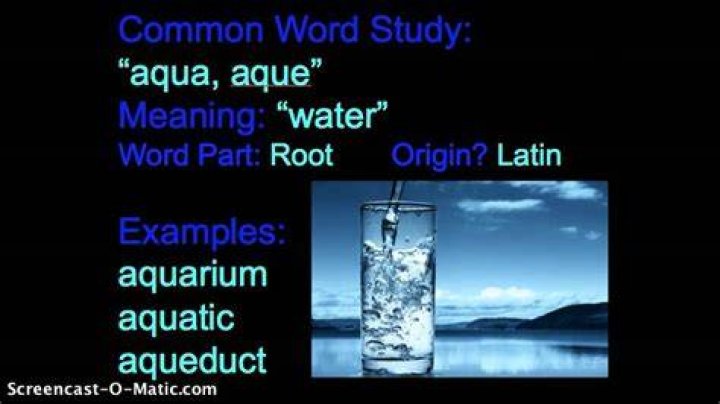 Is Aqua a Latin word