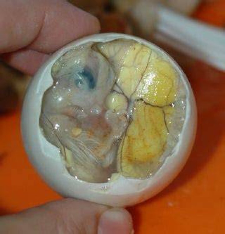 Is Balut boiled alive