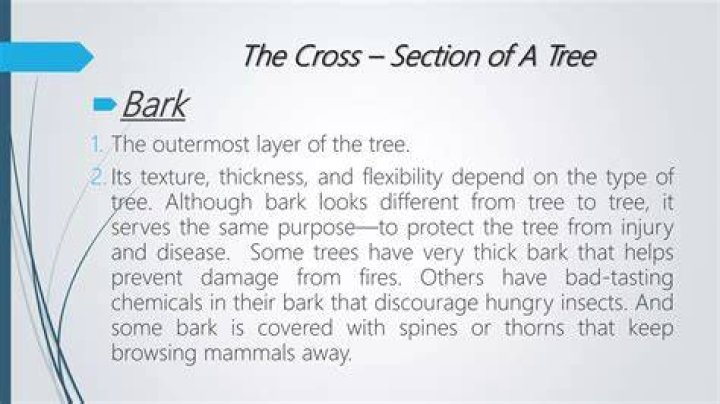 Is bark bad for fires