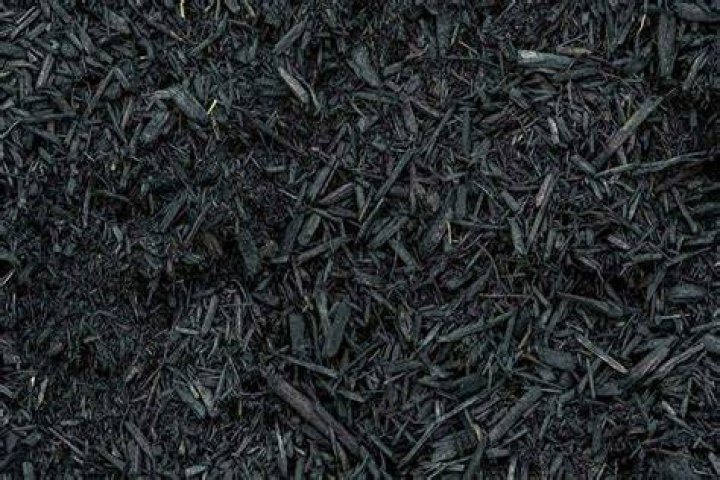 Is black mulch toxic