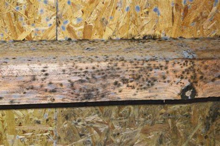 Is black on wood mold