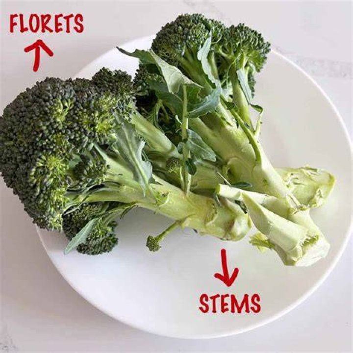 Is broccoli is a stem