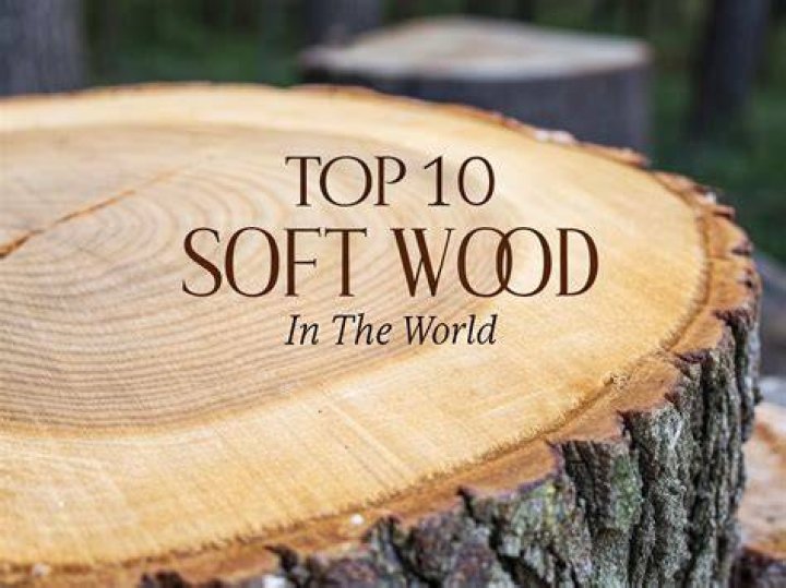 Is Cherry a soft wood