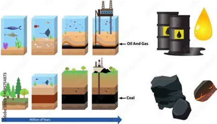 Is coal made from oil