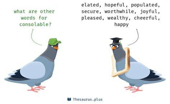 Is Consolable a word