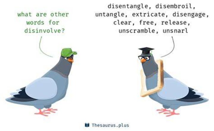Is Disinvolve a word
