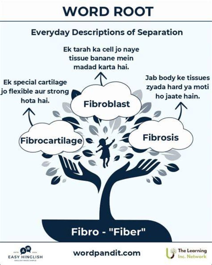 Is Fibro a root word