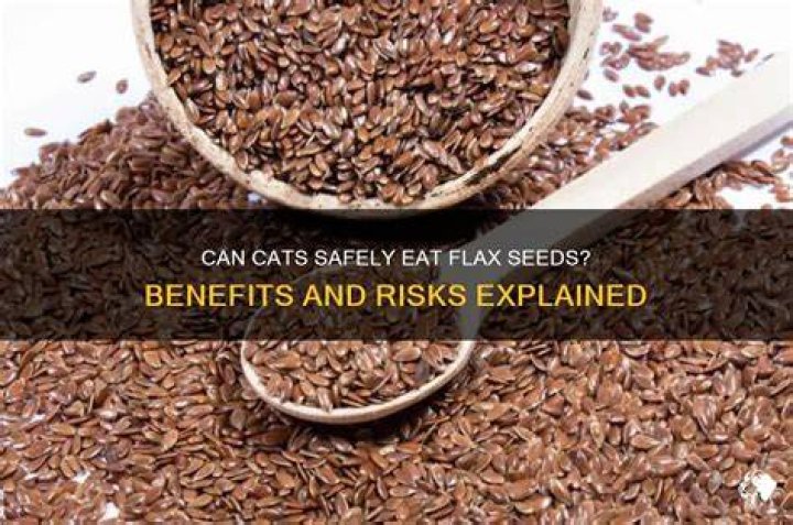 Is flax toxic to cats