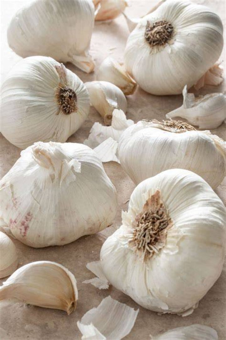 Is garlic a vegetable