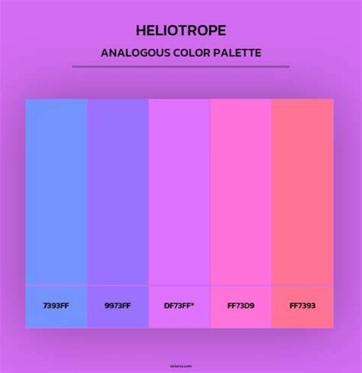 Is heliotrope a color