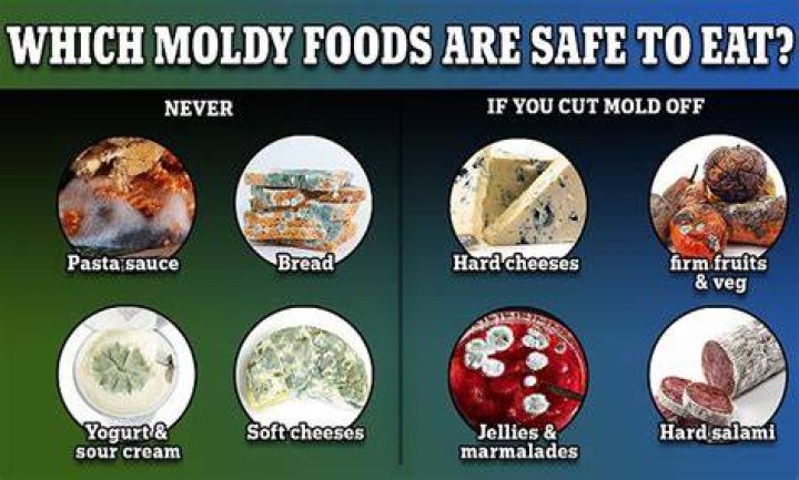 Is it bad to eat mold