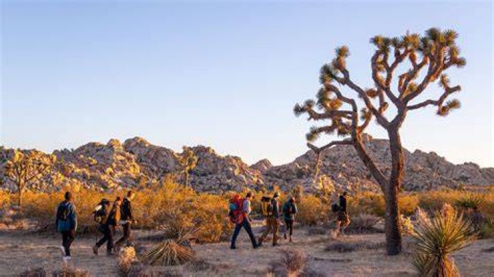 Is Joshua Tree unsafe