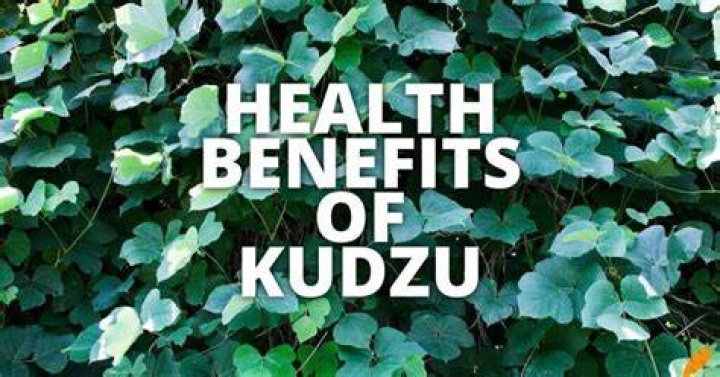 Is kudzu good eating