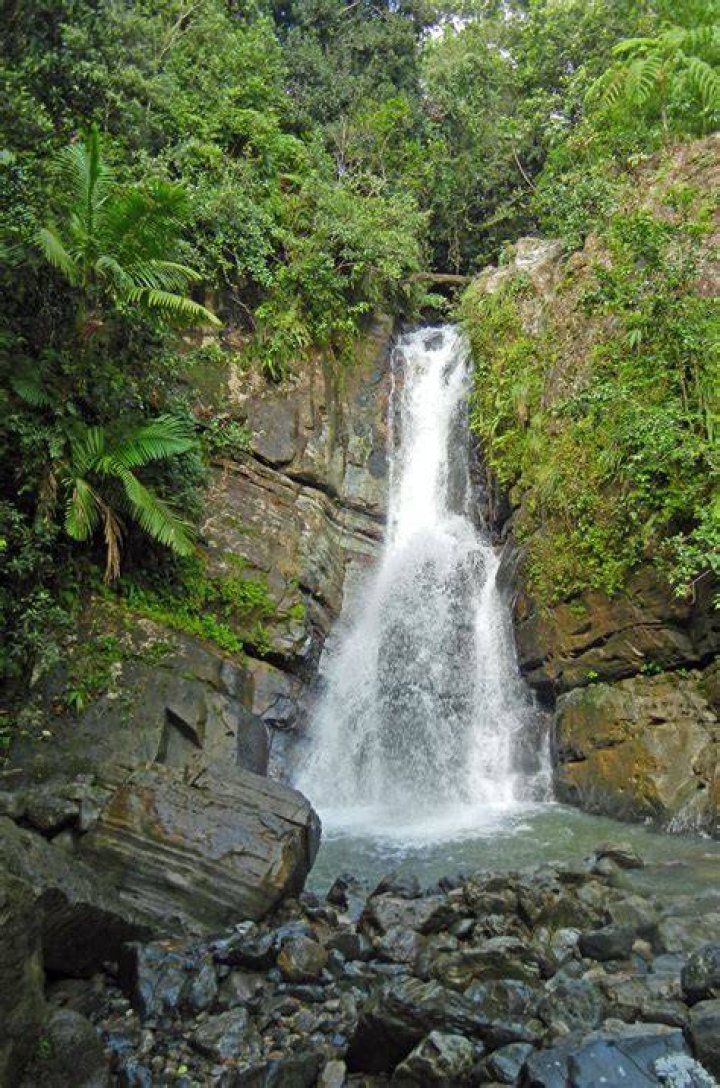 Is La Mina Falls open