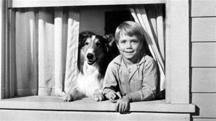 Is Lassie still on TV