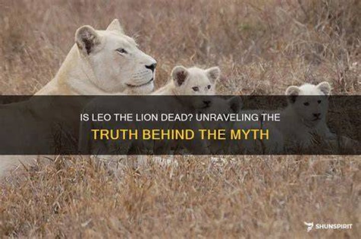 Is Leo the lion dead