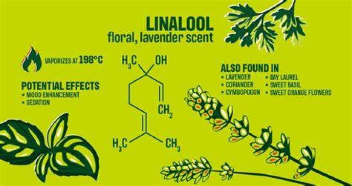 Is linalool a natural