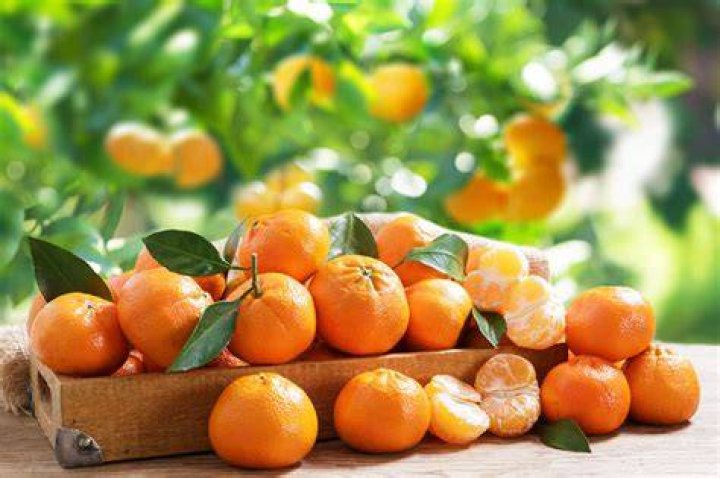 Is Mandarin an orange