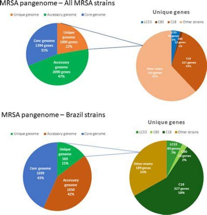Is MRSA pan resistant