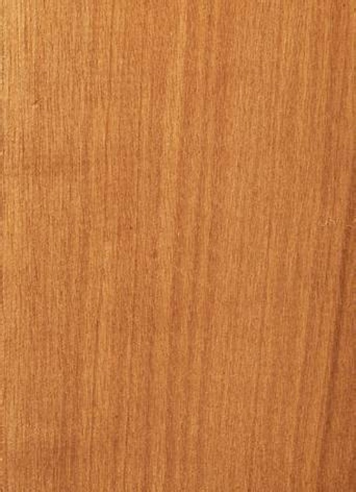 Is nyatoh a hardwood