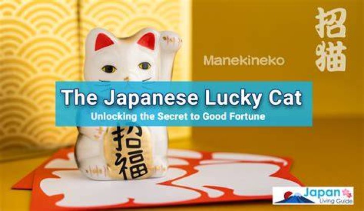 Is owning a cat Lucky