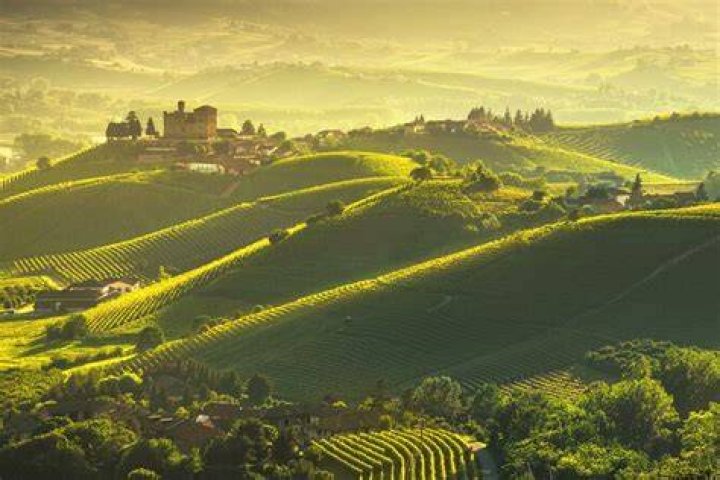Is Piedmont in Milan
