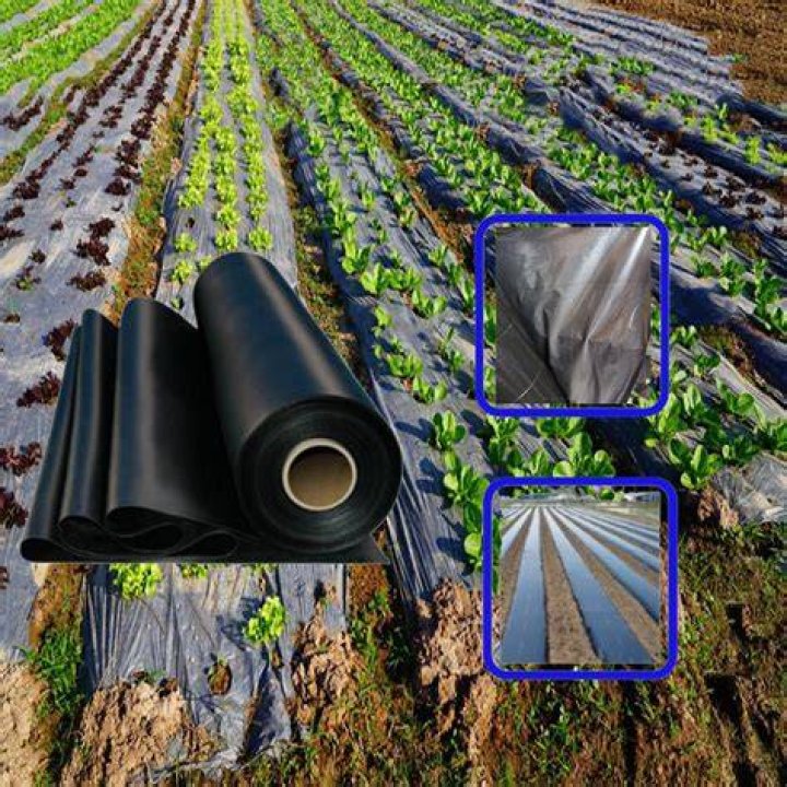 Is plastic mulch bad