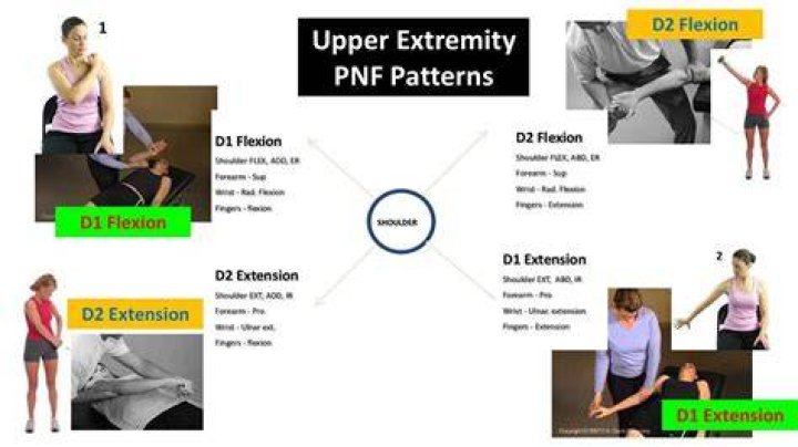 Is PNF manual therapy