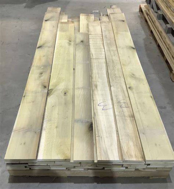 Is Poplar a hard wood