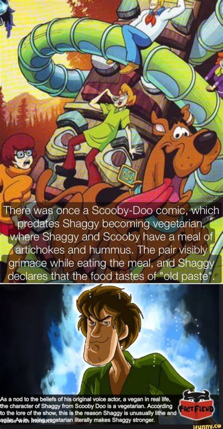 Is Shaggy still vegan