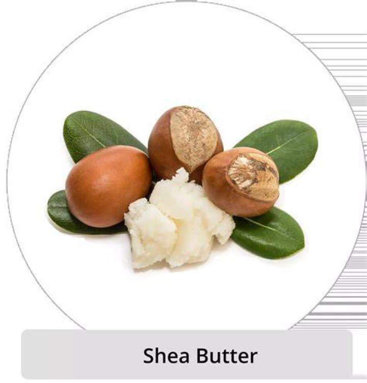 Is shea butter latex