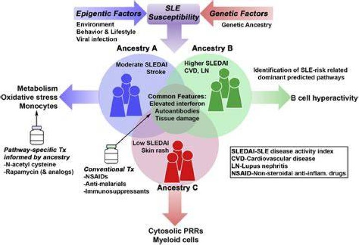 Is SLE a comorbidity