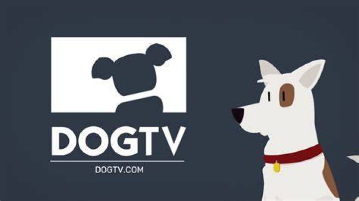 Is there a free DOGTV