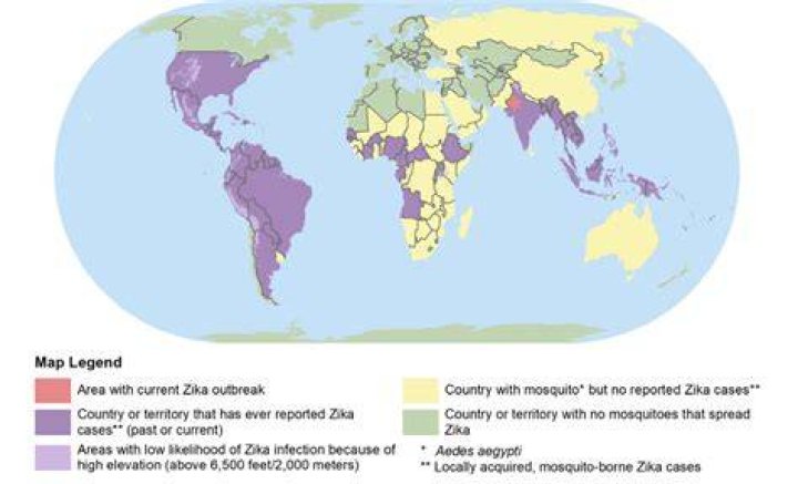 Is there Zika in 2019