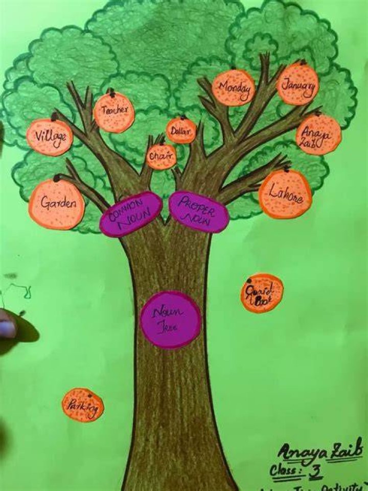 Is tree a proper noun