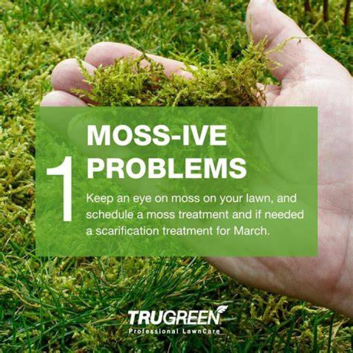 Is TruGreen poisonous