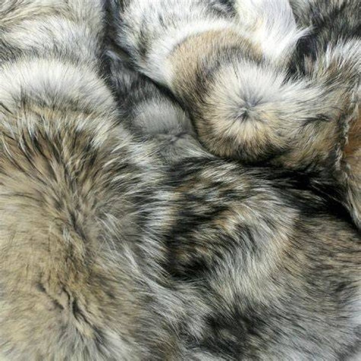 Is wolf fur valuable