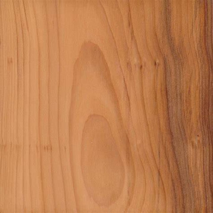Is yew wood poisonous