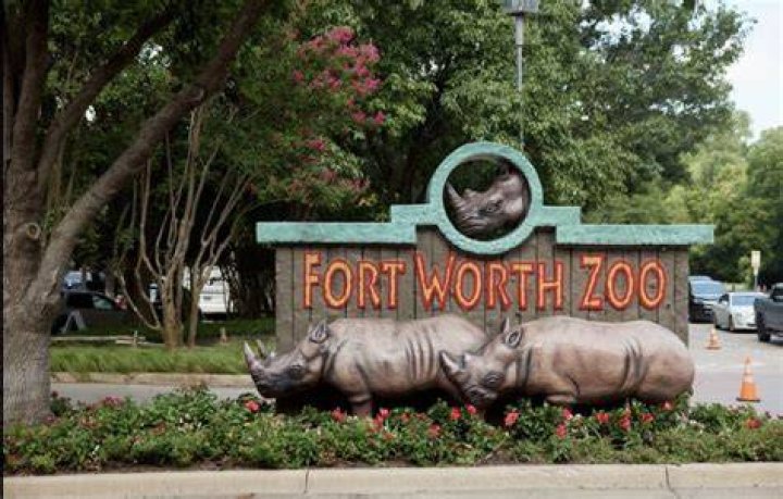 Is zoo worth watching