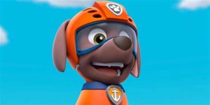 Is Zuma a boy or girl