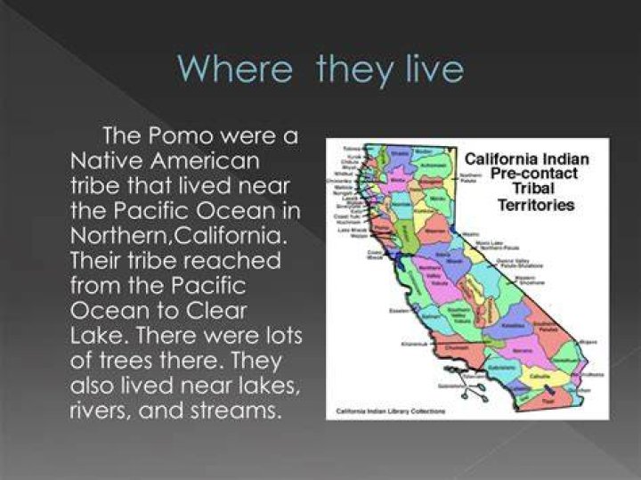 Were do the Pomo live