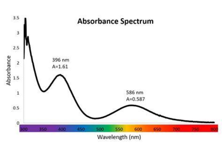 What absorbance means